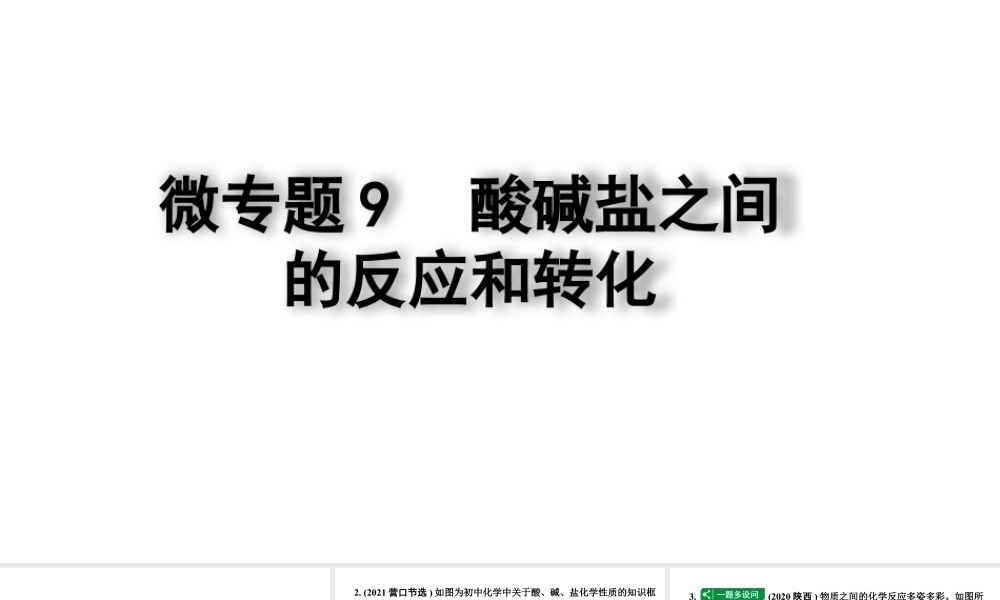 2024四川中考化学一轮复习 微专题9 酸碱盐之间的反应和转化（课件）.pptx