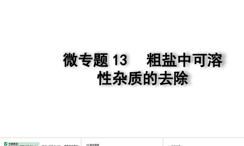 2024四川中考化学一轮复习 微专题13 粗盐中可溶性杂质的去除（课件）.pptx