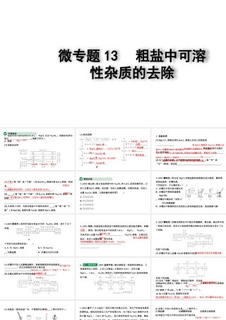 2024四川中考化学一轮复习 微专题13 粗盐中可溶性杂质的去除（课件）.pptx