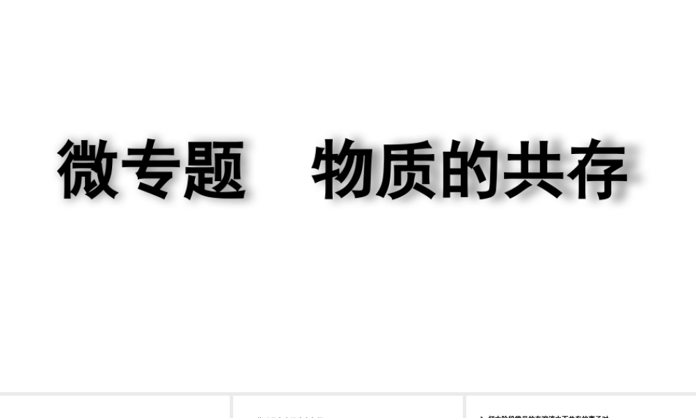 2024四川中考化学一轮复习微专题 物质的共存（课件）.pptx