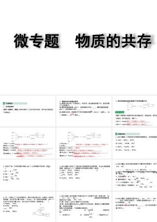 2024四川中考化学一轮复习微专题 物质的共存（课件）.pptx