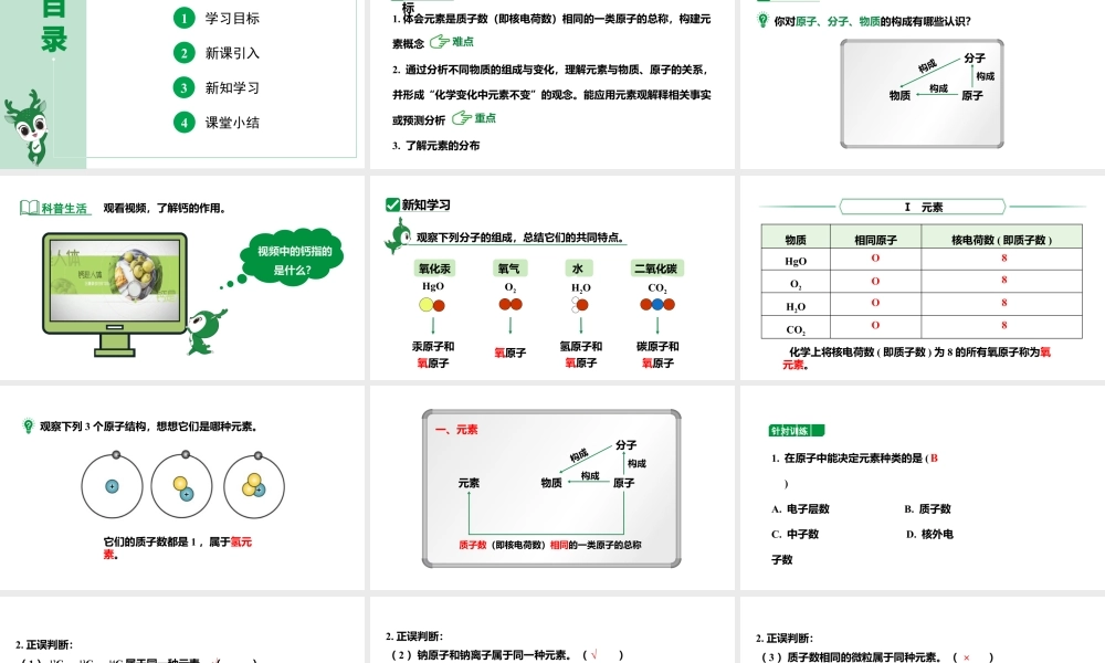 人教版九上化学 第三单元 课时1 元素 课件.pptx