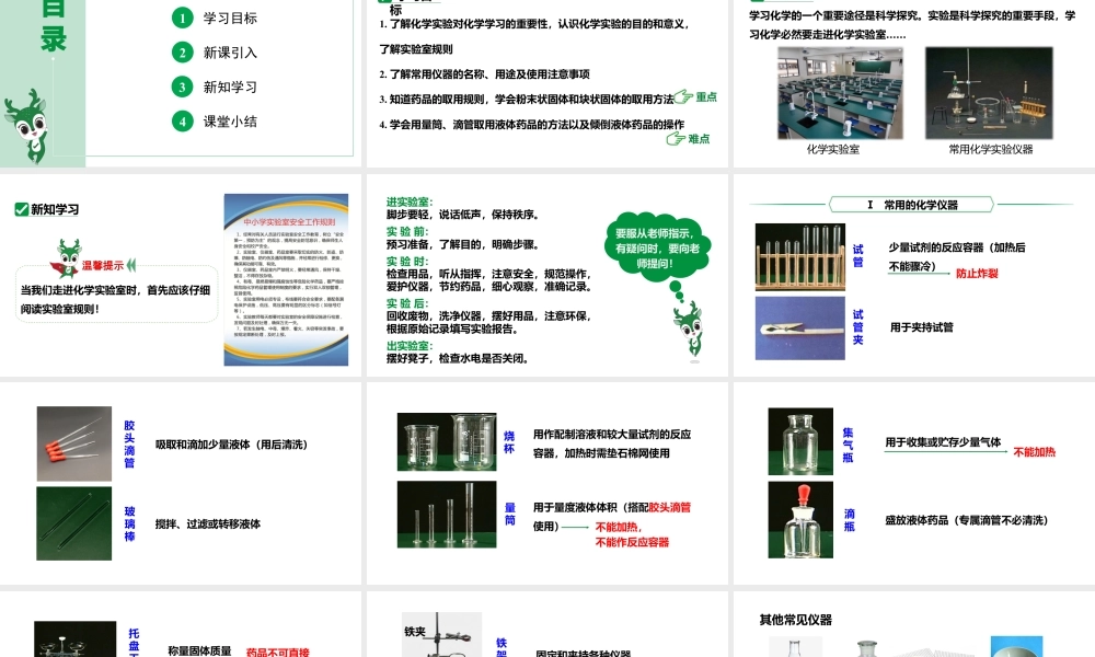 人教版九上化学 第一单元 课时1 化学药品的取用 课件.pptx