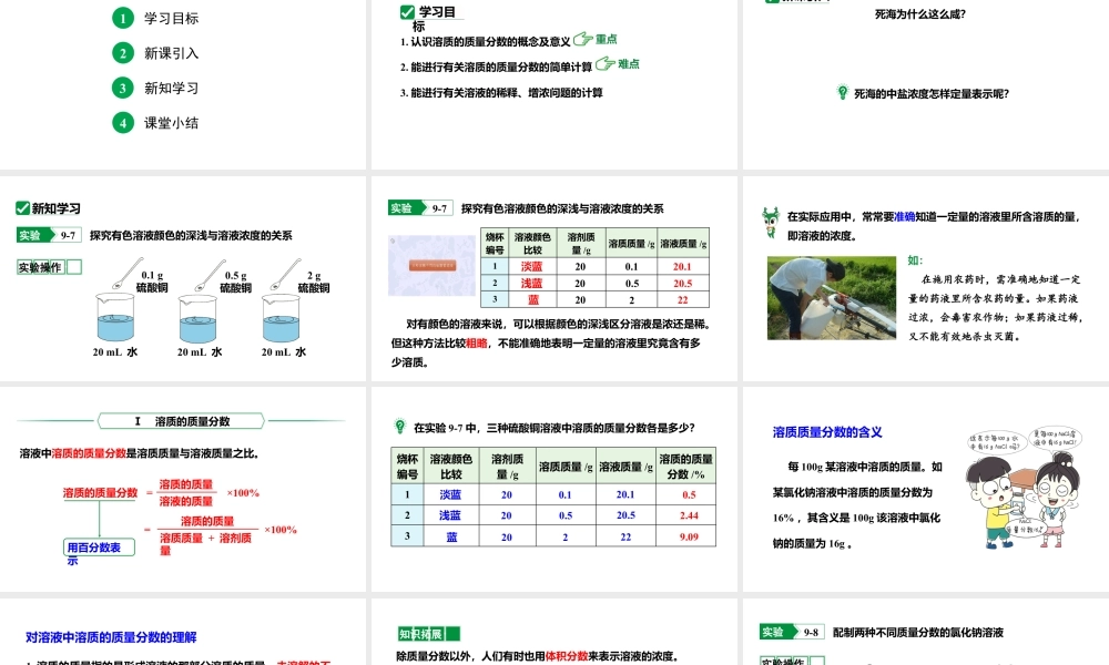 人教版九下化学 第九单元 课时1 溶质的质量分数 课件.pptx