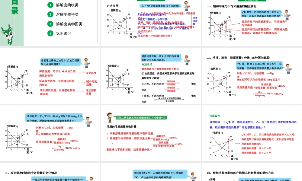 人教版九下化学 第九单元专题 溶解度曲线及其应用 课件.pptx