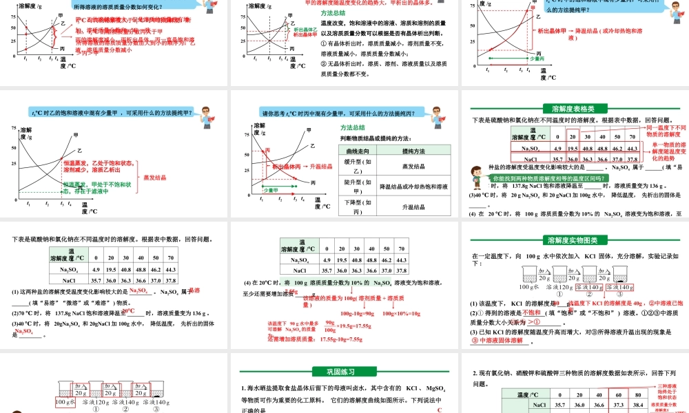 人教版九下化学 第九单元专题 溶解度曲线及其应用 课件.pptx