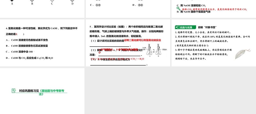 人教版九下化学 第十单元 课时3 常见碱的性质及用途 课件.pptx