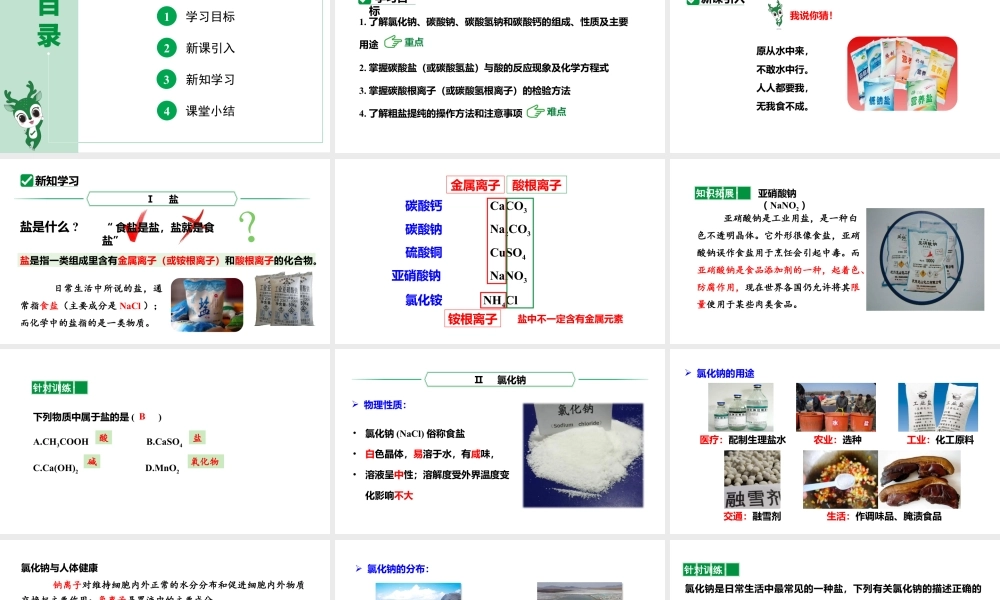 人教版九下化学 第十一单元 课时1 几种常见的盐 课件.pptx