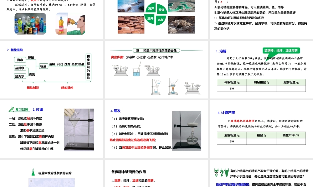 人教版九下化学 第十一单元 课时1 几种常见的盐 课件.pptx