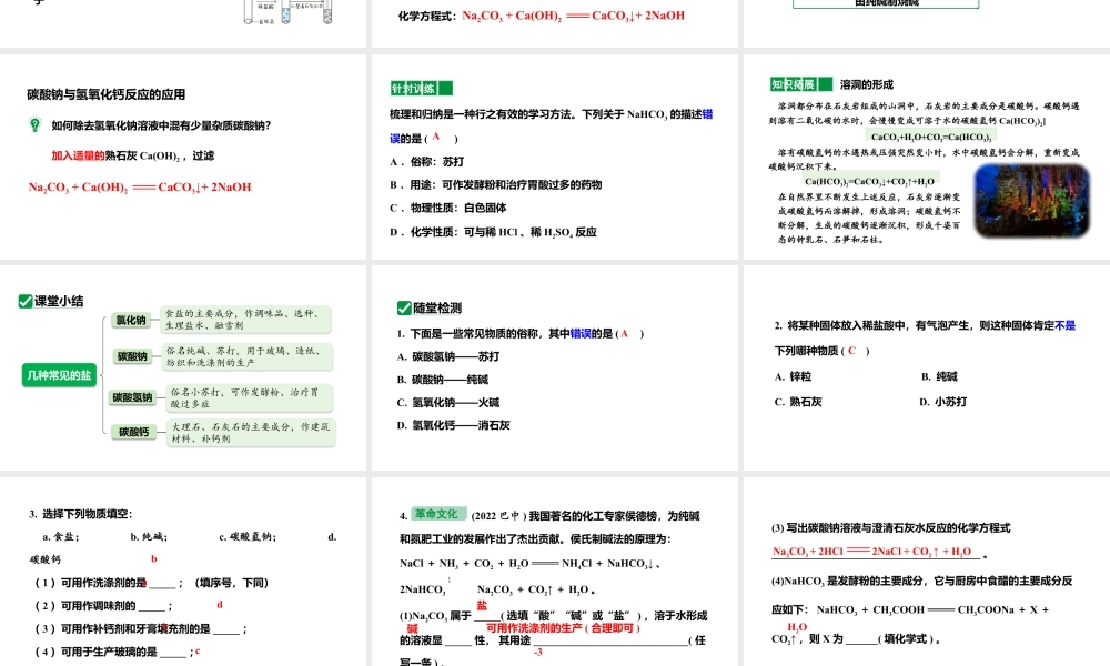 人教版九下化学 第十一单元 课时1 几种常见的盐 课件.pptx