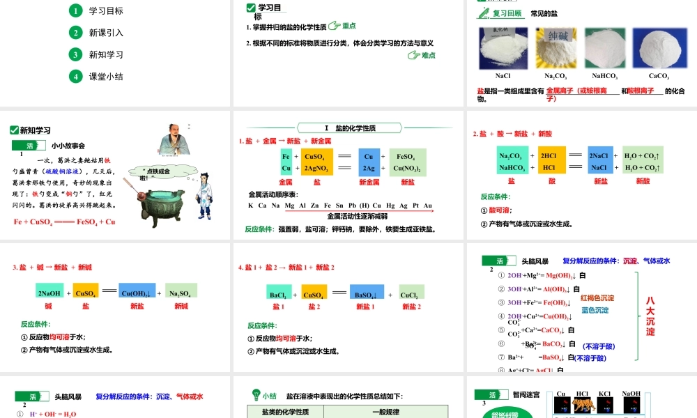 人教版九下化学 第十一单元 课时3 盐的化学性质 课件.pptx