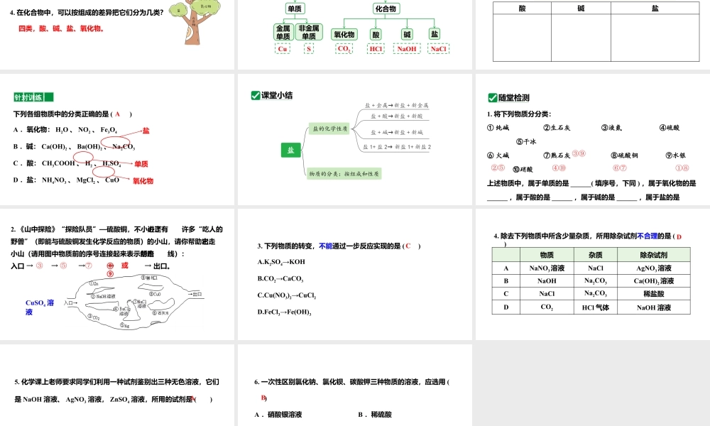 人教版九下化学 第十一单元 课时3 盐的化学性质 课件.pptx