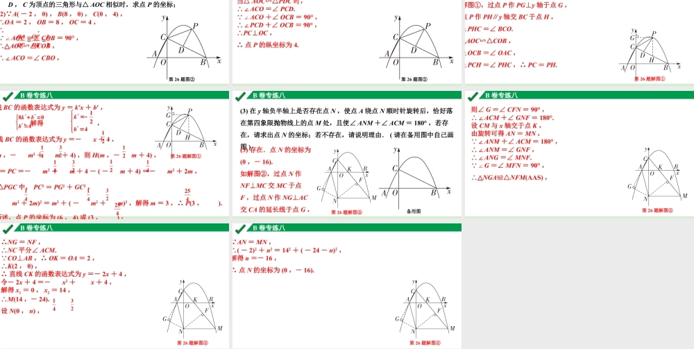 2024成都中考数学B卷专项强化训练08.B卷专练八课件.pptx