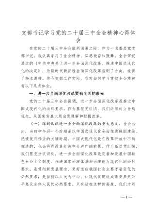支部书记学习党的二十届三中全会精神心得体会.docx