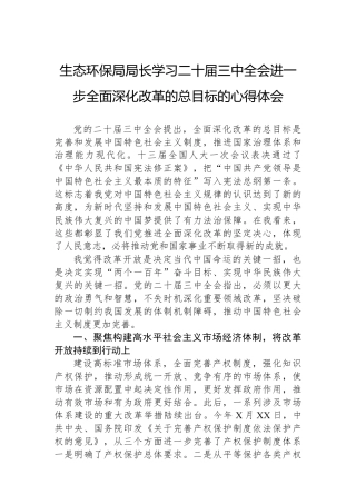 生态环保局局长学习二十届三中全会进一步全面深化改革的总目标的心得体会.docx