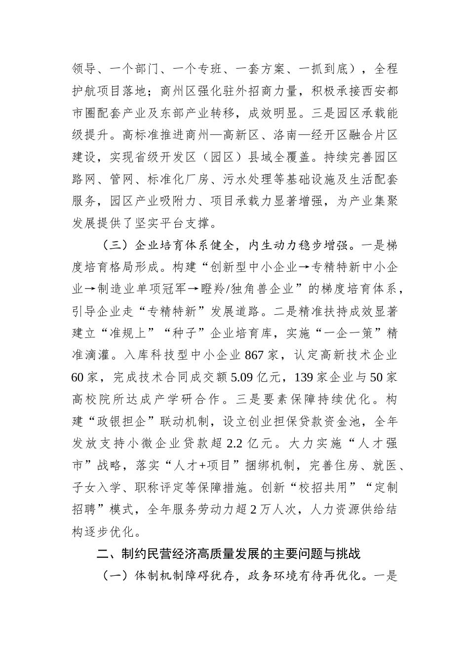 持续优化营商环境不断创新招商模式着力推动“十五五”期间全市民营经济高质量发展.docx_第3页